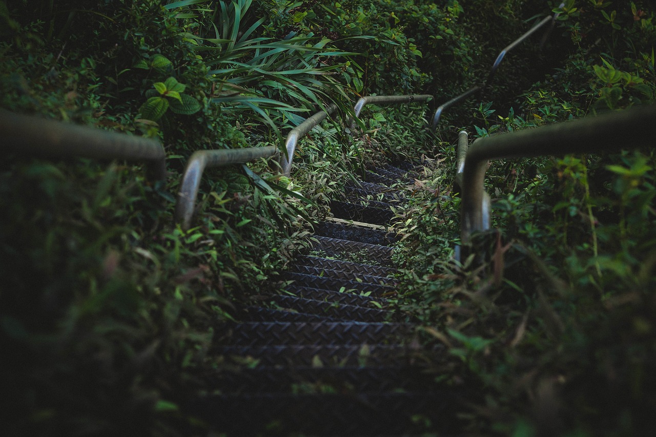 Image - green grass plant steel stairs