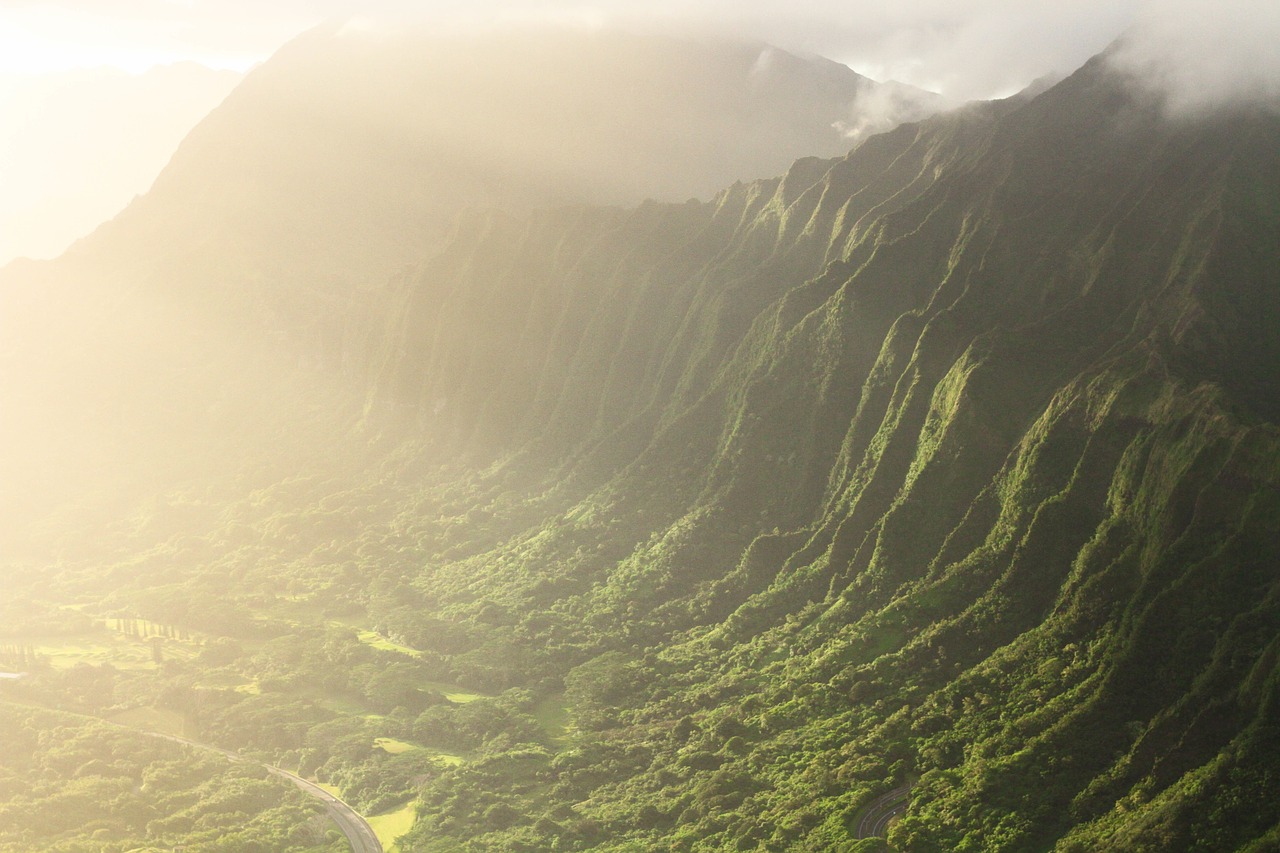 Image - mountain highland green trees