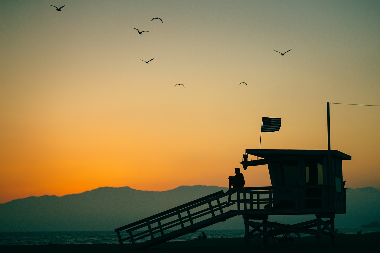 Image - birds flying animal sky sunset