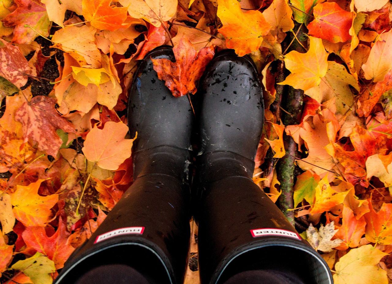 Image - boots plant leaves fall