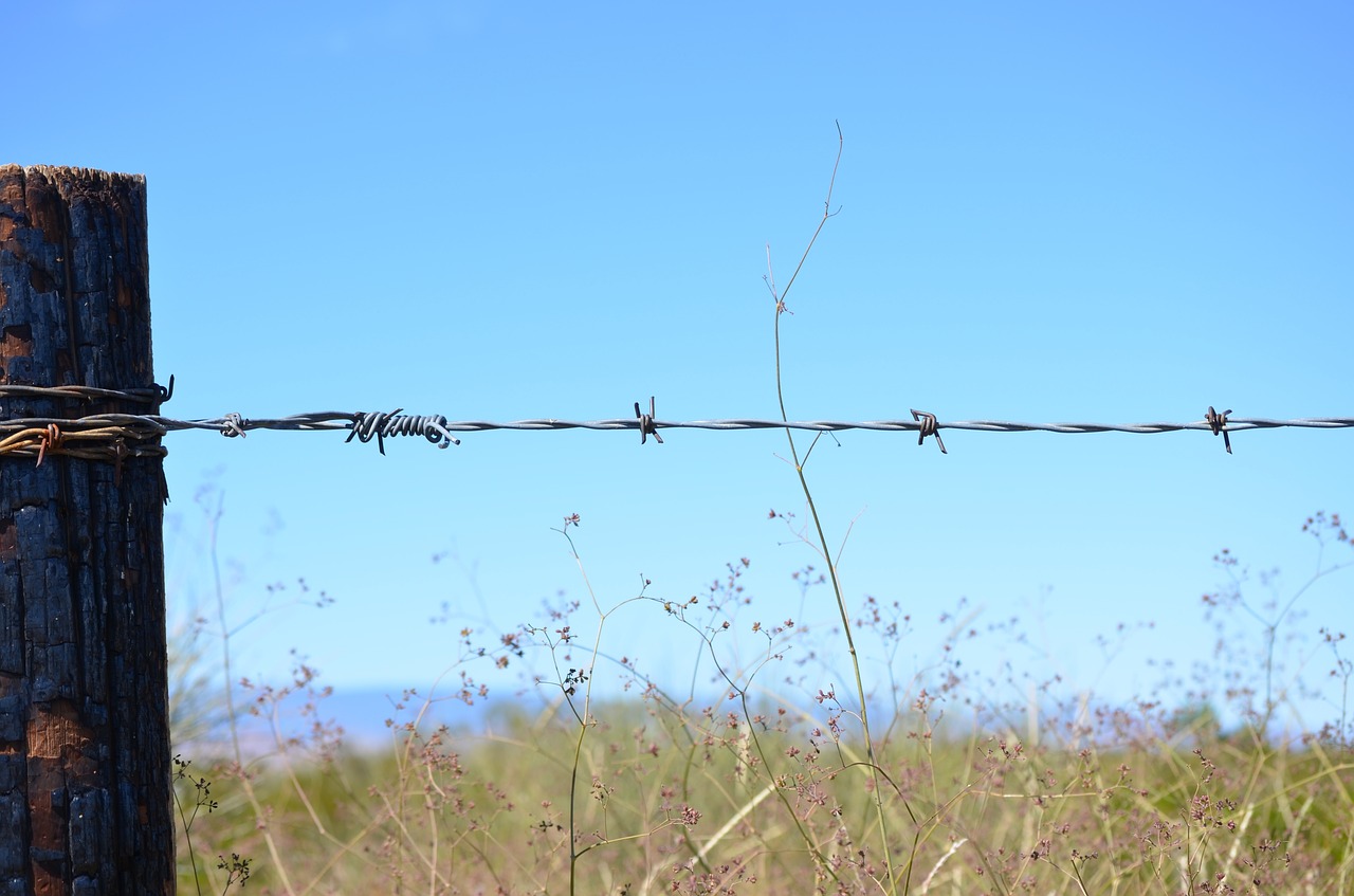 Image - green grass barbed wire wood