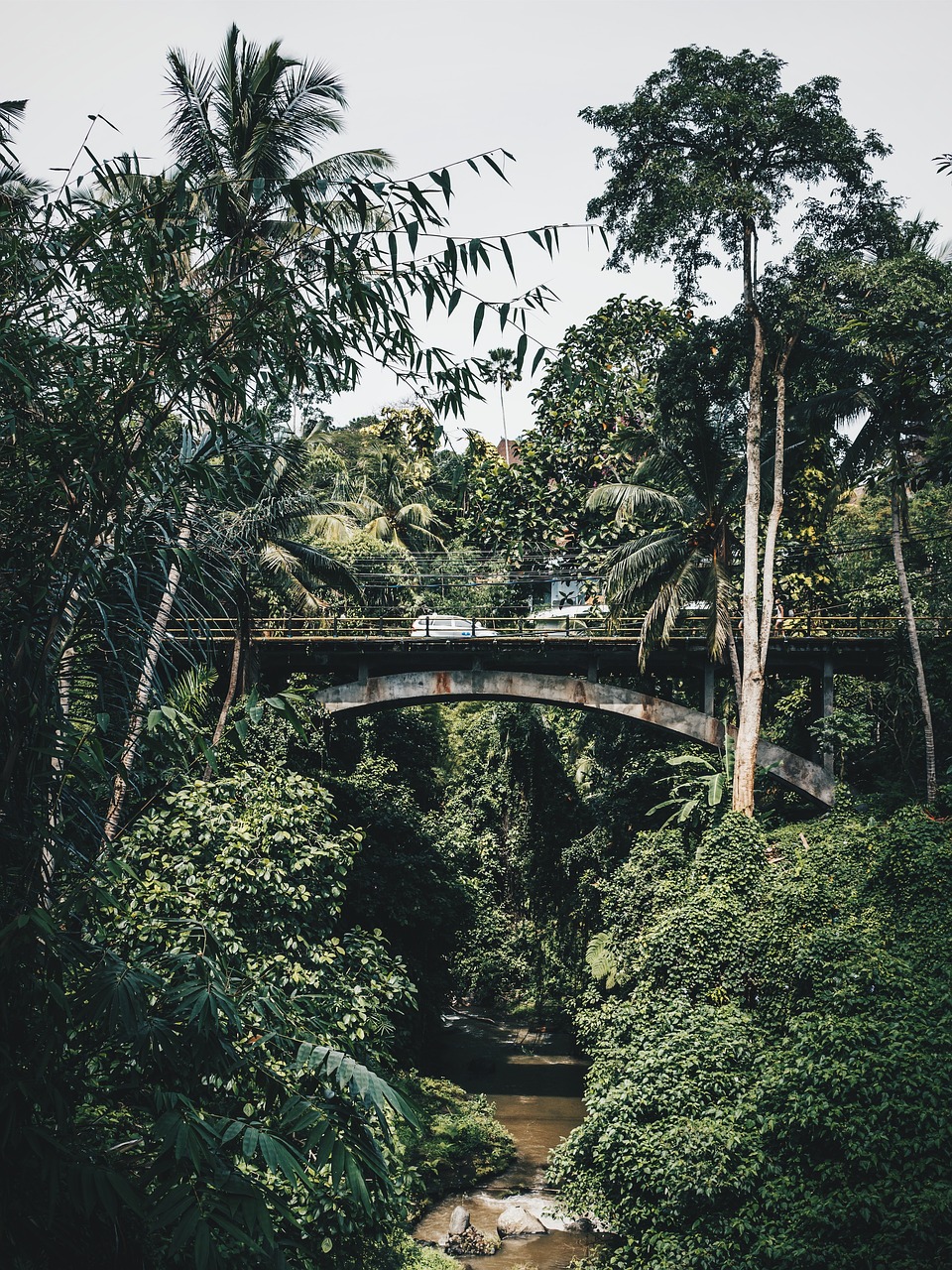 Image - sky green plant trees bridge