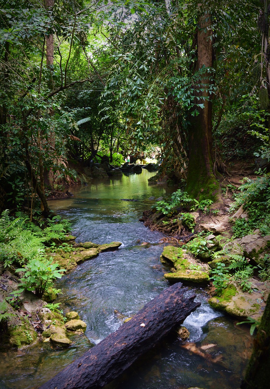 Image - wood rocks stream water nature