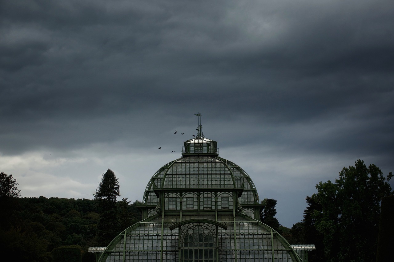 Image - trees plant cloudy sky birds