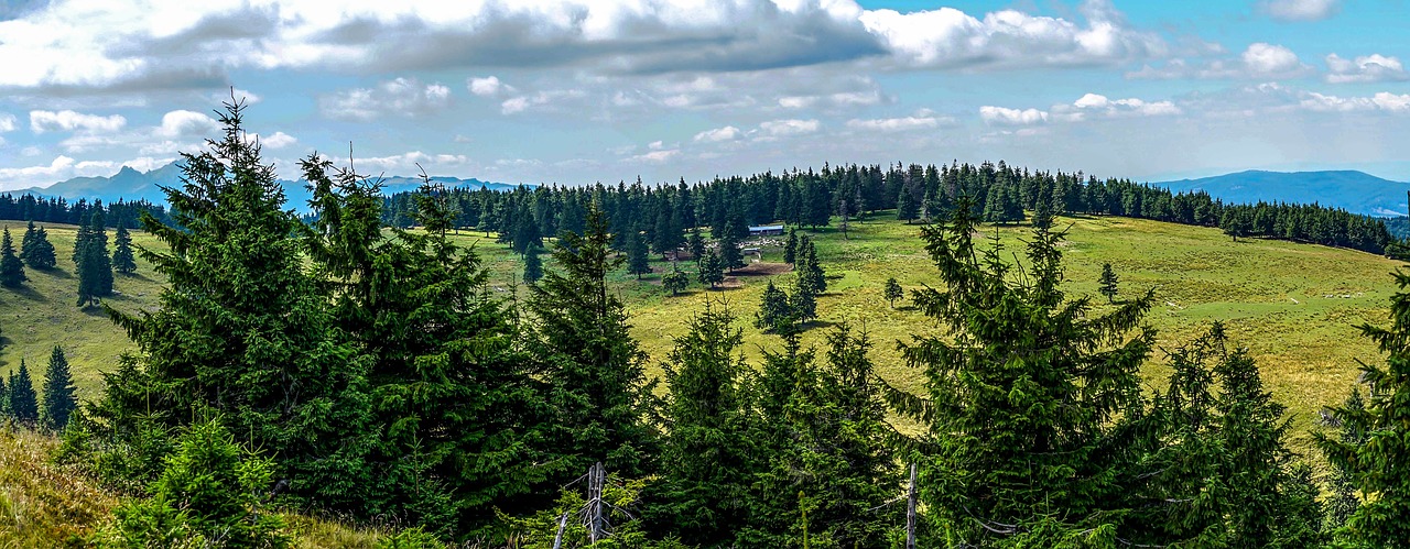 Image - mountain green grass farm trees