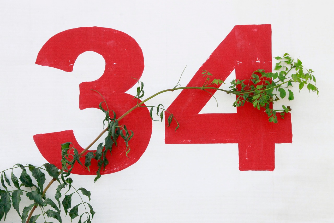 Image - white wall numbers branch leaves