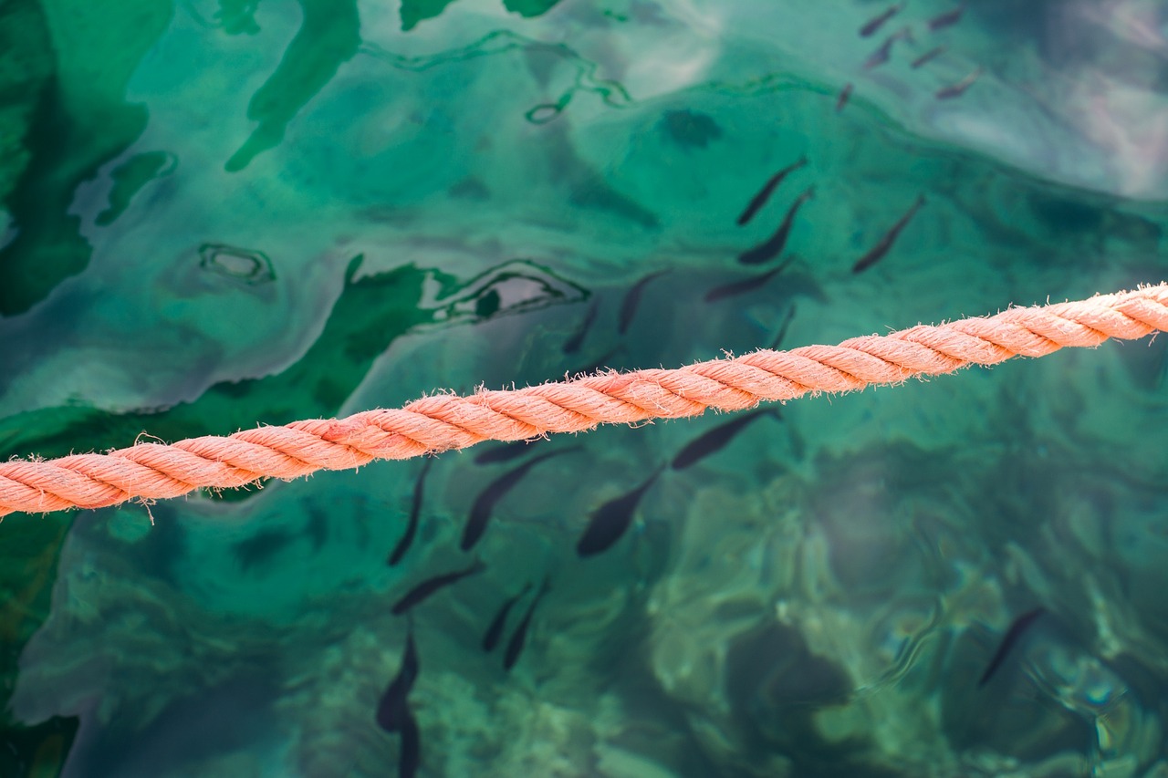 Image - orange rope underwater sea