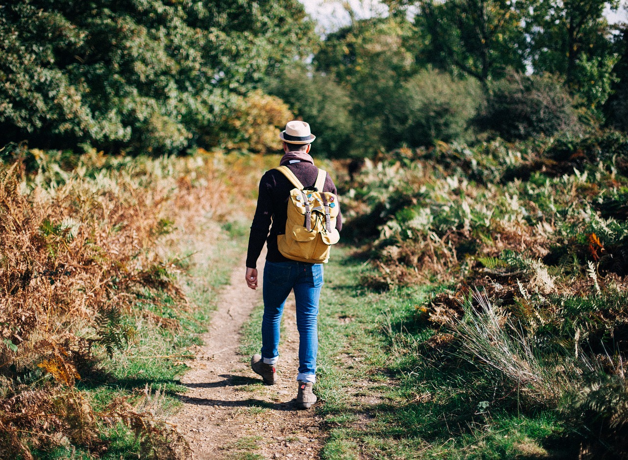 Image - people man walking travel green