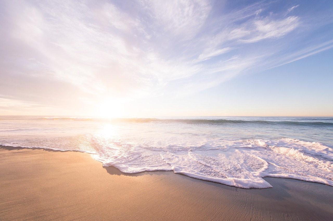 Image - beach shore coast water sea ocean