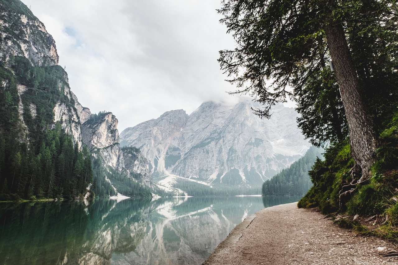 Image - mountain valley trees landscape