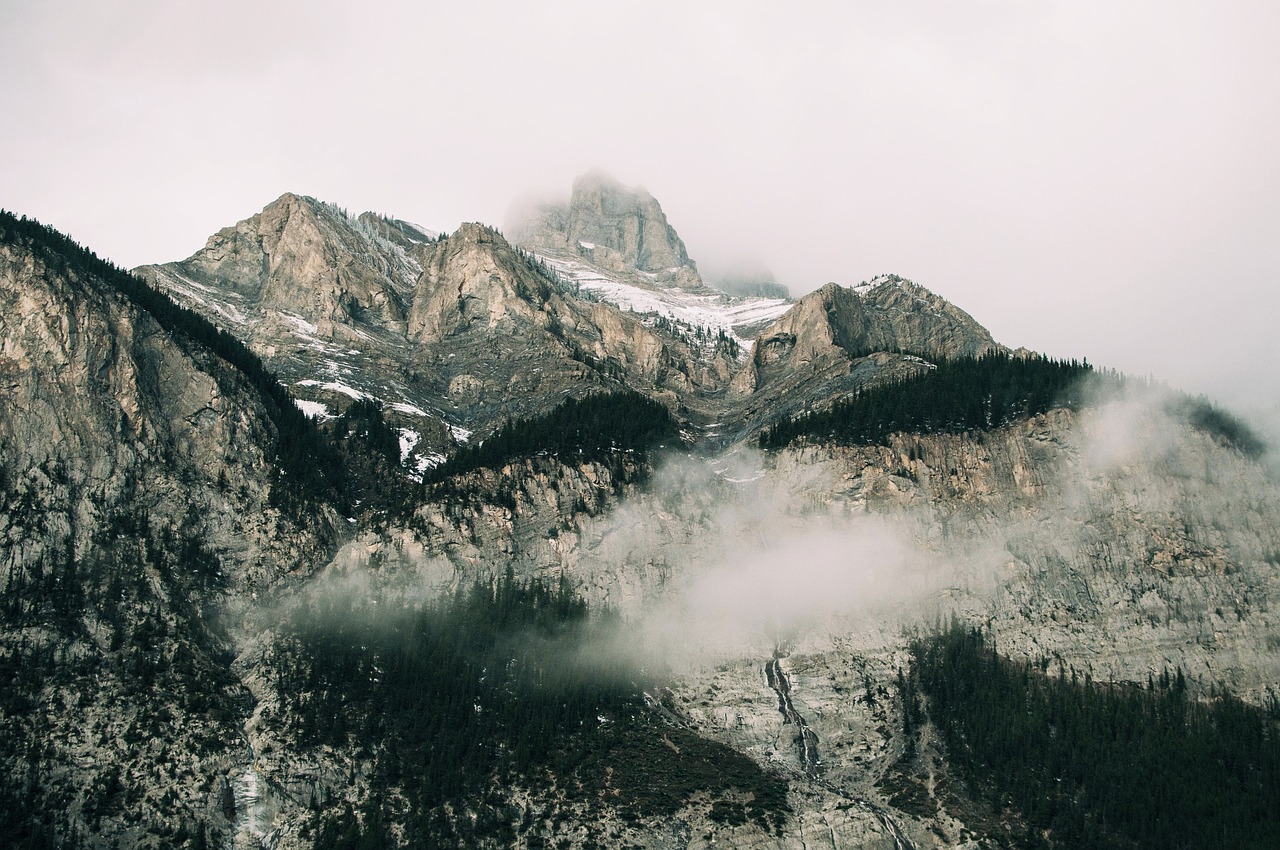 Image - mountain valley trees nature