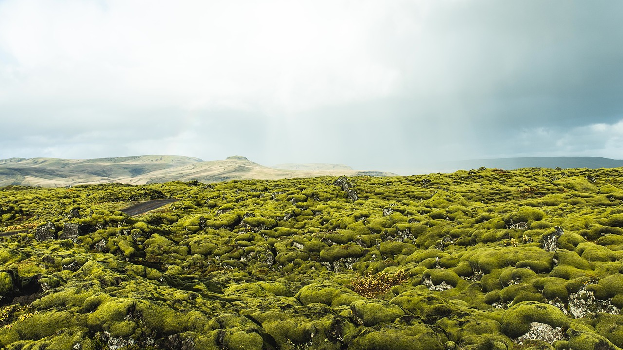 Image - mountain green moss rocks highland