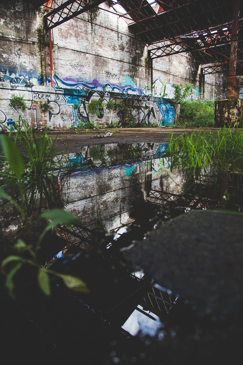 Image - dark green plant grass wall