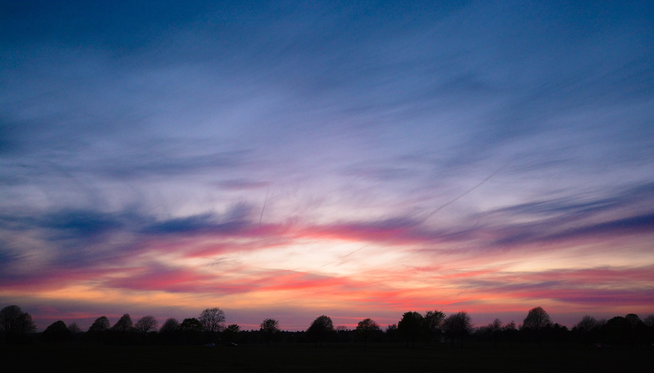 Image - car travel trip road field sunset