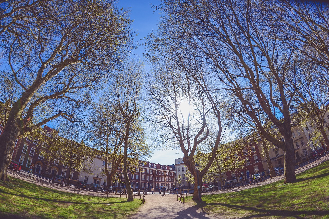 Image - trees sky clouds bench green