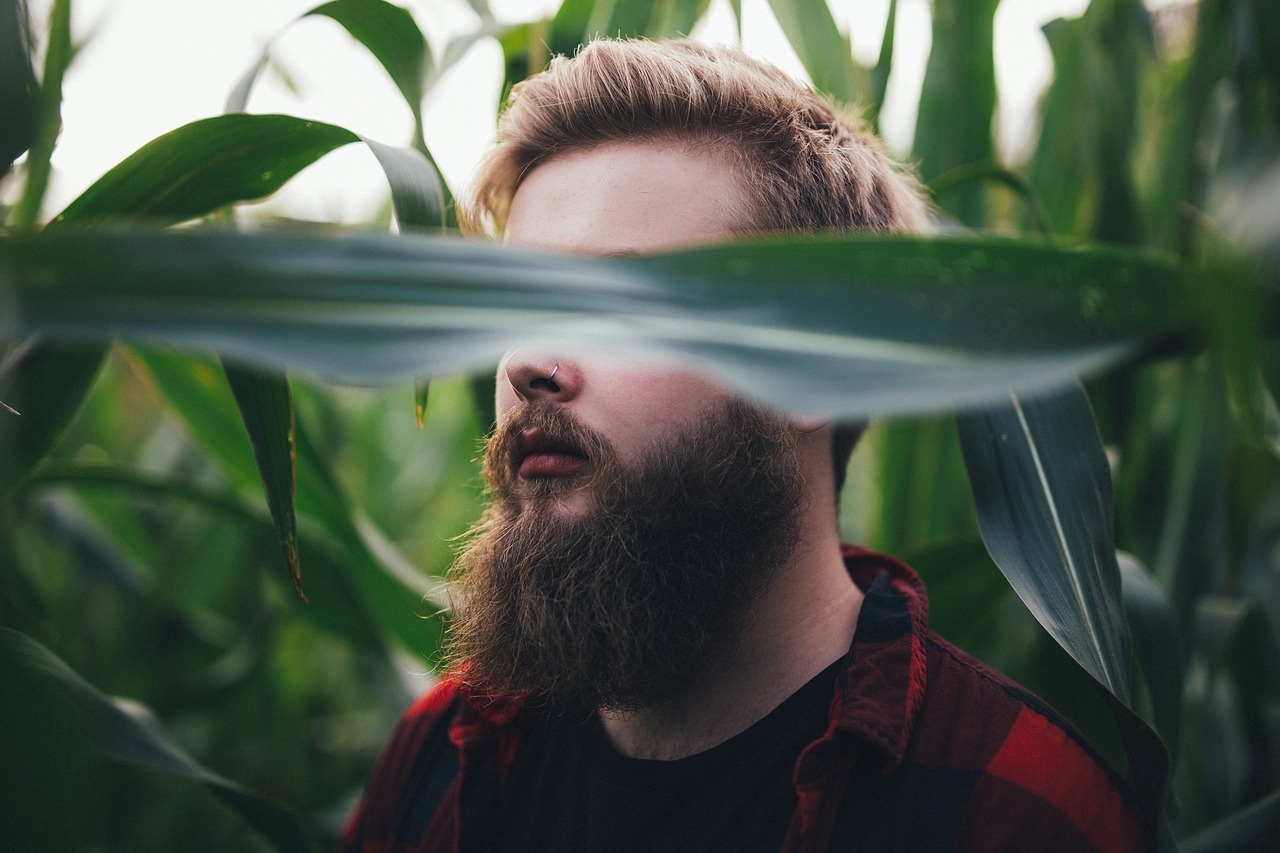 Image - people man green plants field