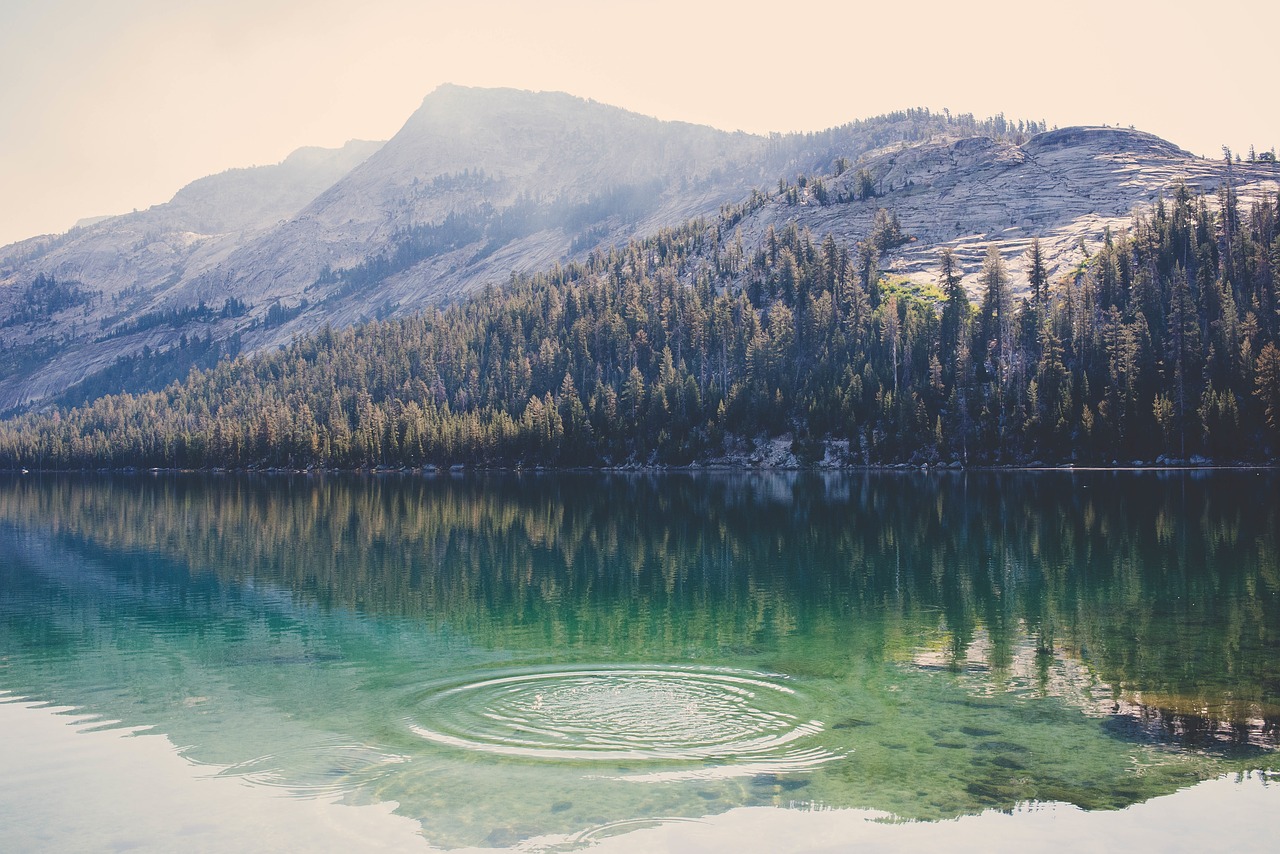 Image - mountain valley landscape nature