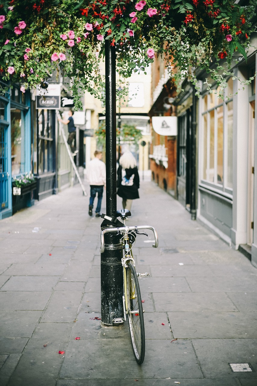 Image - bike bicycle pole flowers plants