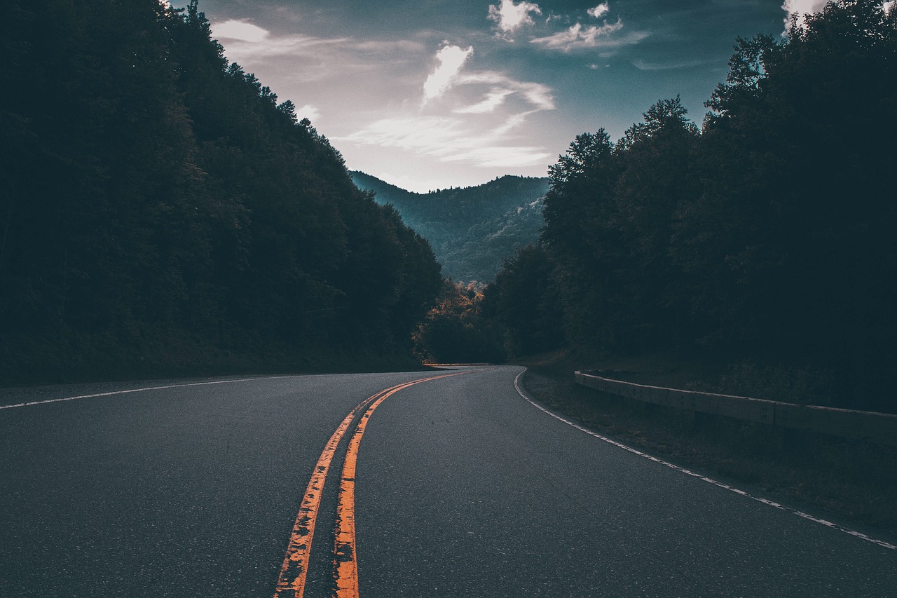 Image - road street dark trees nature