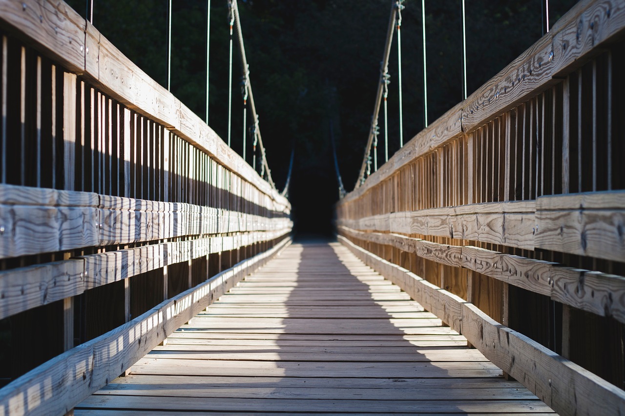 Image - bridge pathway forest trees plants