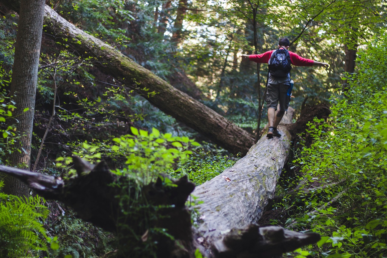 Image - people man hiking adventure