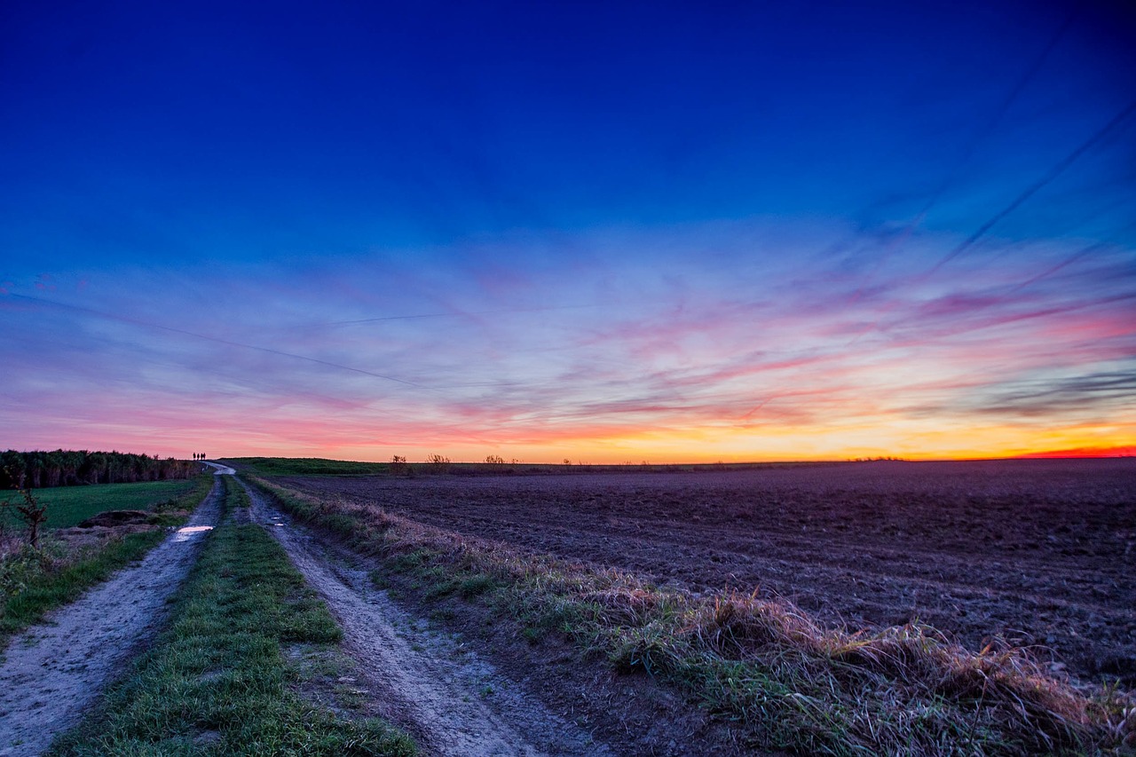 Image - street road farm field trees