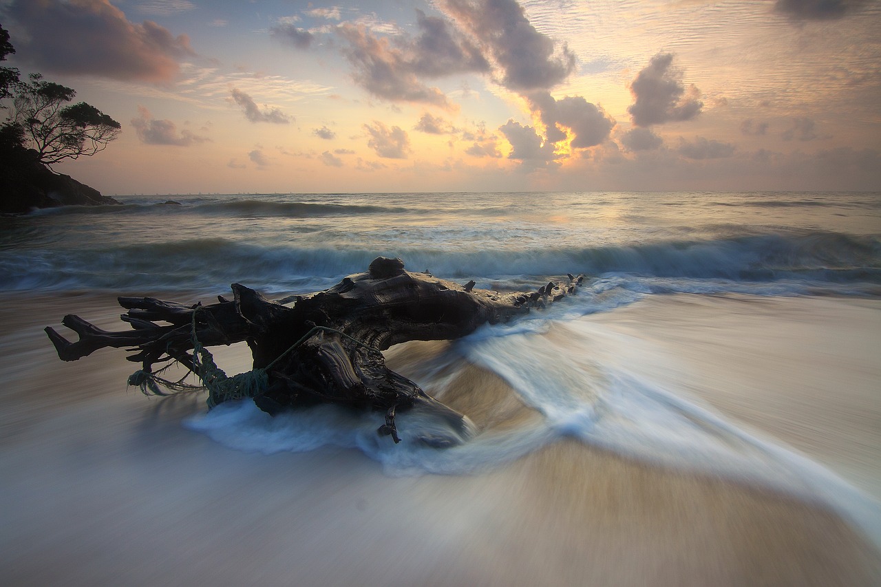 Image - beach sand sea ocean water nature