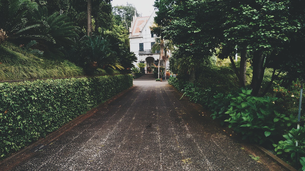 Image - pathway house green plants trees