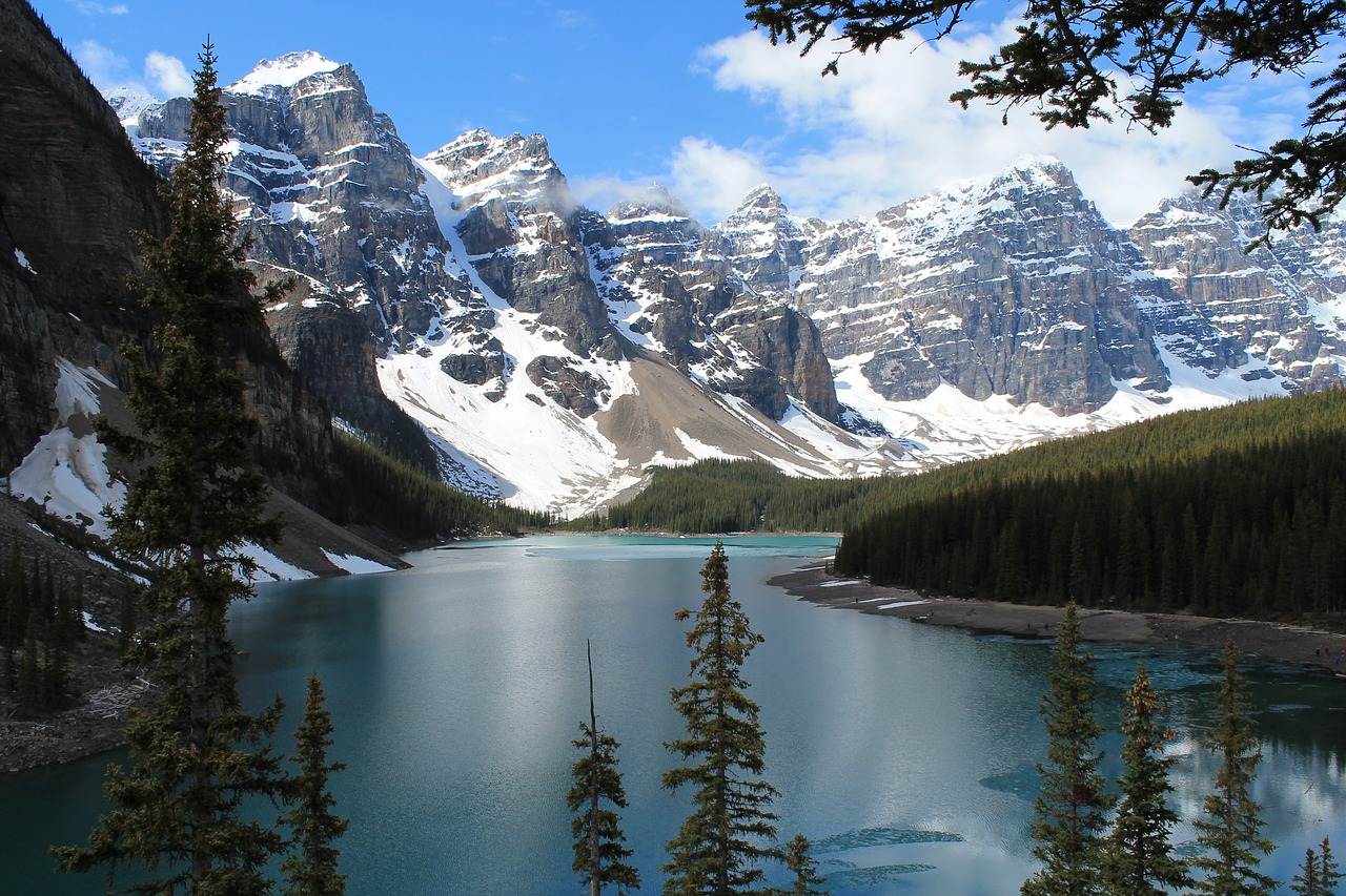 Image - lake water river trees forest