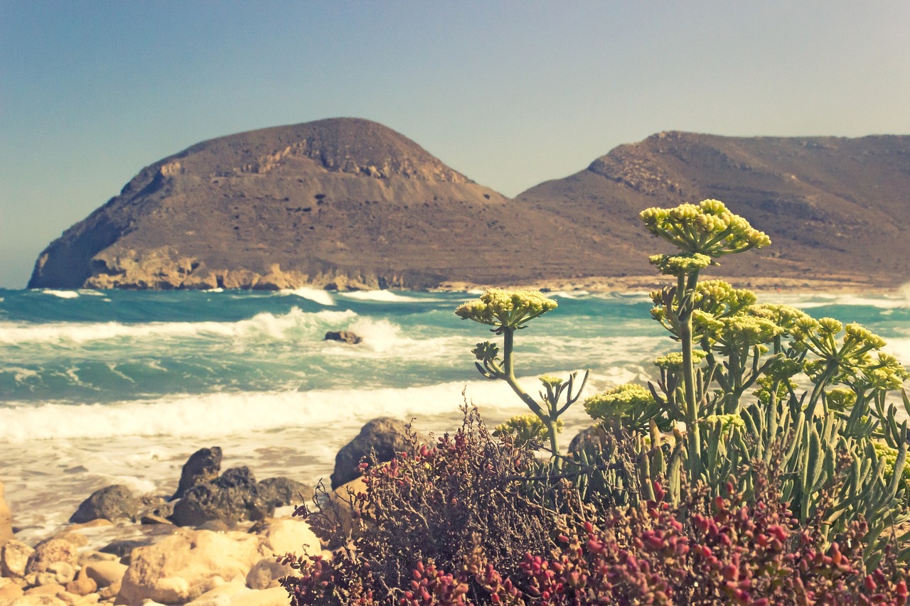 Image - coast ocean sea water seashore