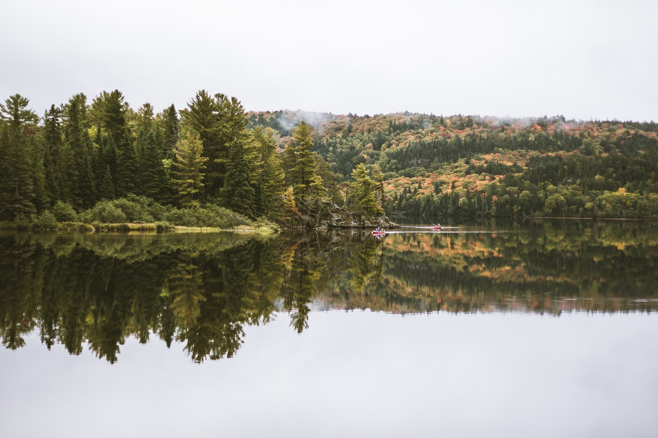 Image - green trees water lake mountain