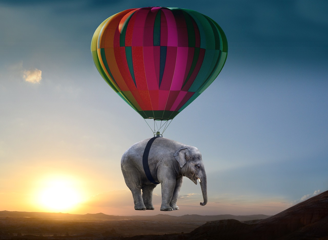 Image - elephant sunset steppe balloon