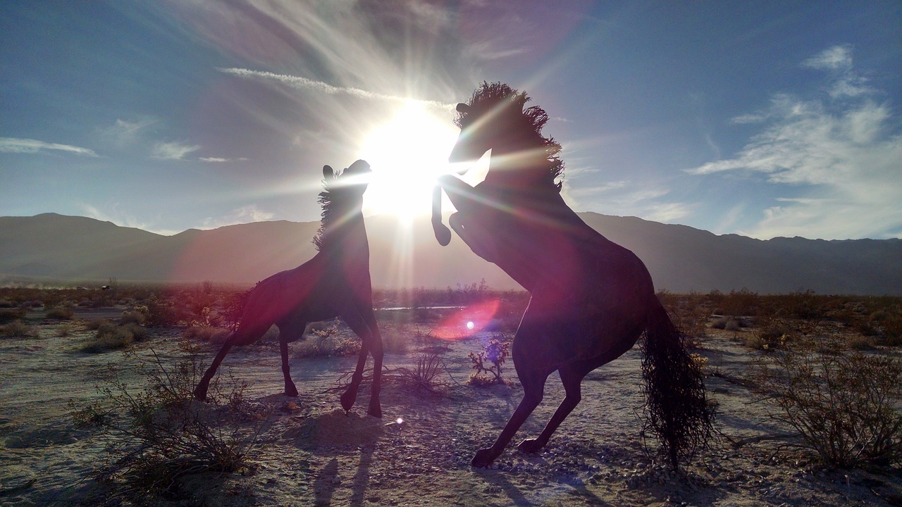 Image - horse animal nature mountain