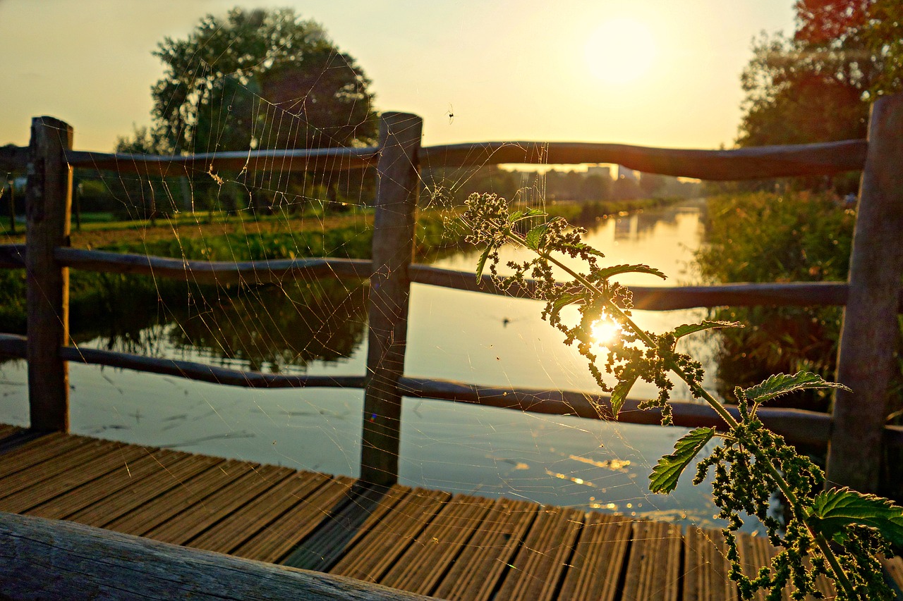 Image - pathway bridge wood river water