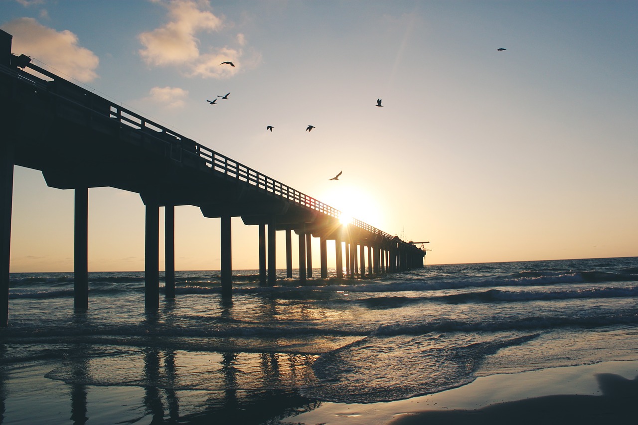 Image - sunset dusk sky clouds birds