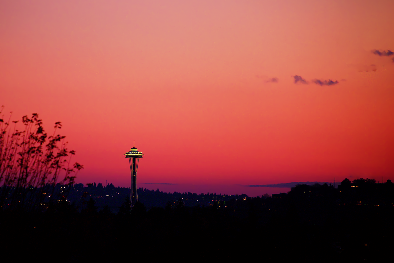 Image - sunset dark pink sky trees