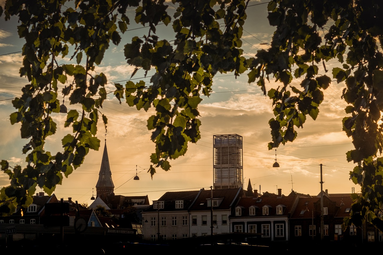 Image - landscape trees leaves urban city