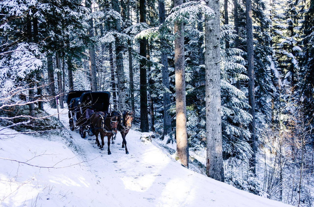 Image - horse chariot winter snow flakes