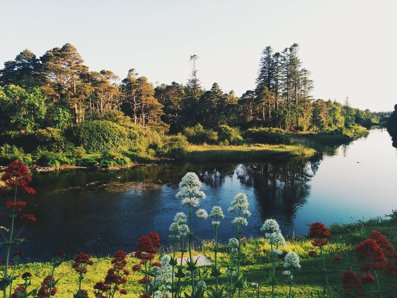 Image - stream water river green grass