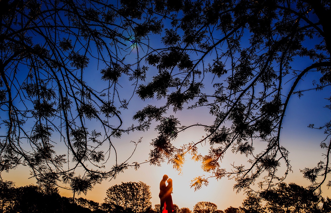 Image - silhouette sunny sun sunrise