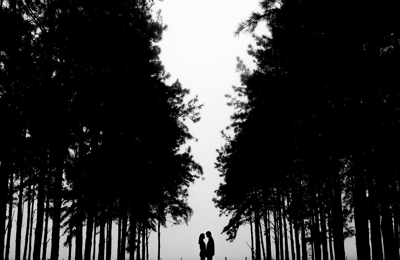 Image - couple silhouette nature trees