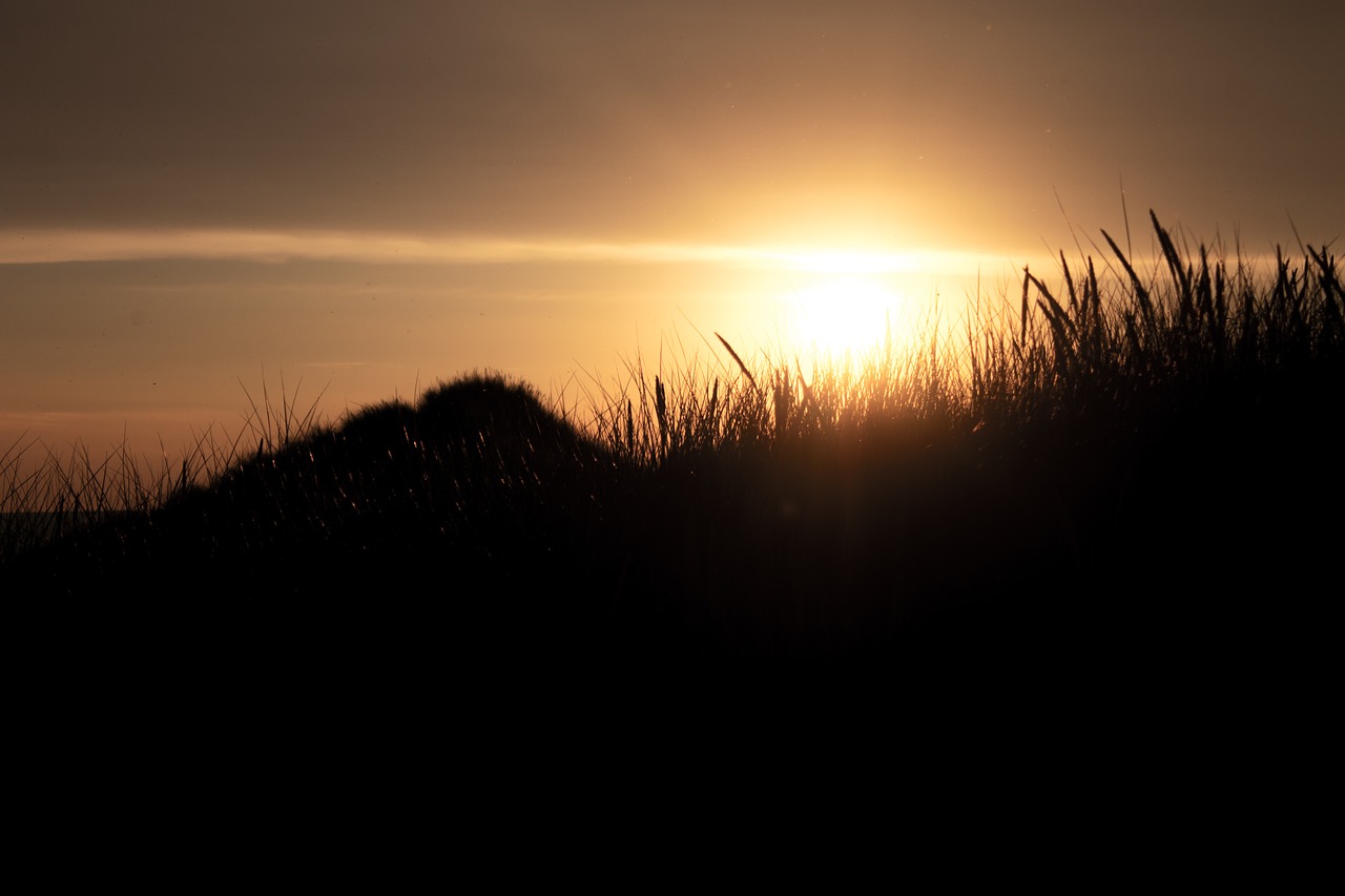 Image - sunset dunes denmark sand beach