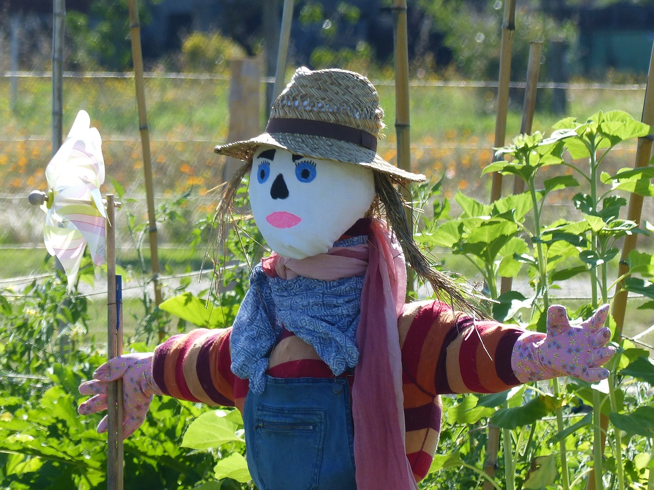 Image - scarecrow garden incredible