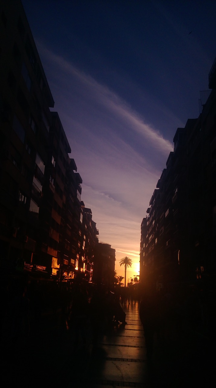 Image - city sunset sky silhouette tree