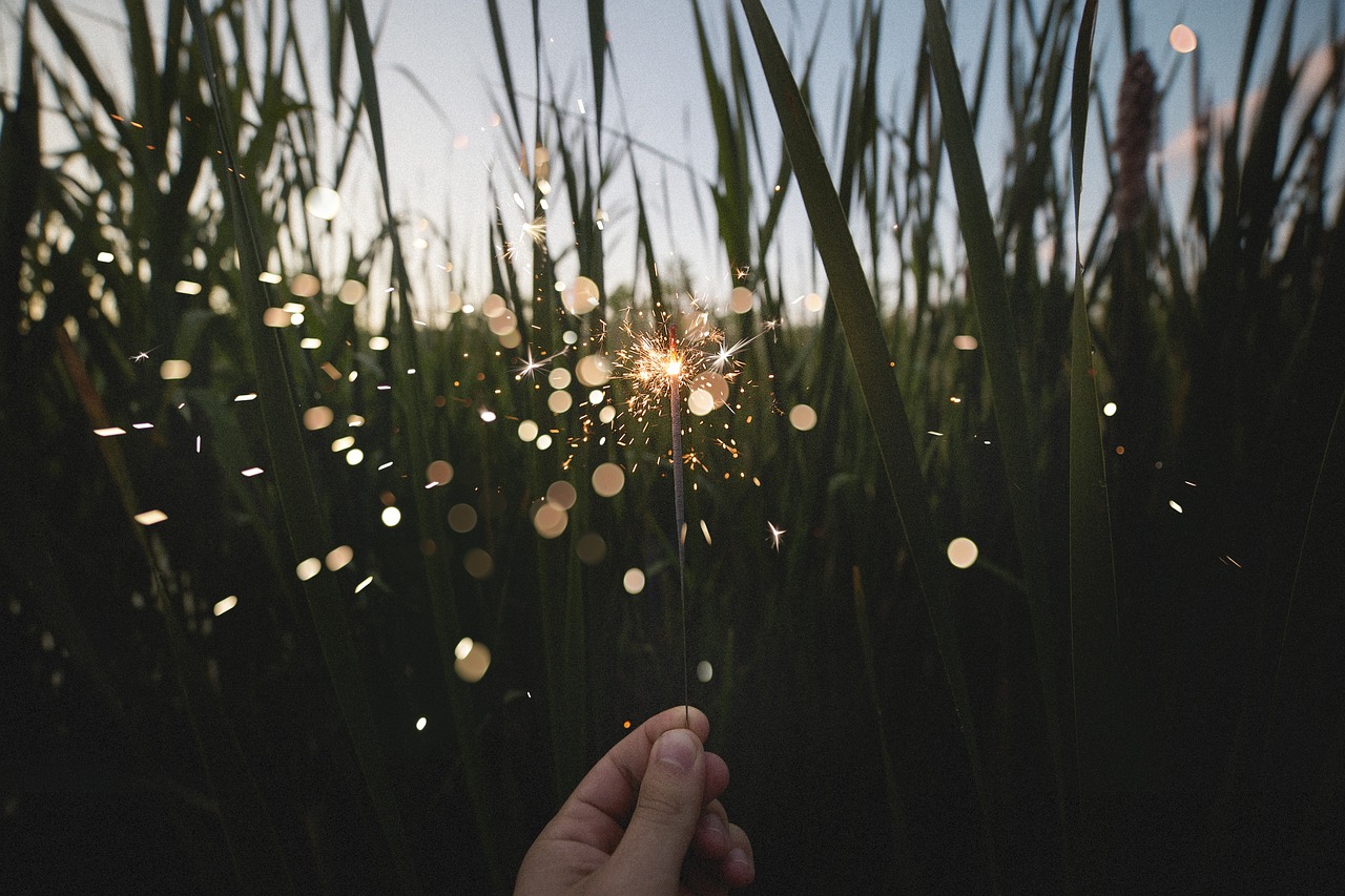 Image - nature field grass leaves person