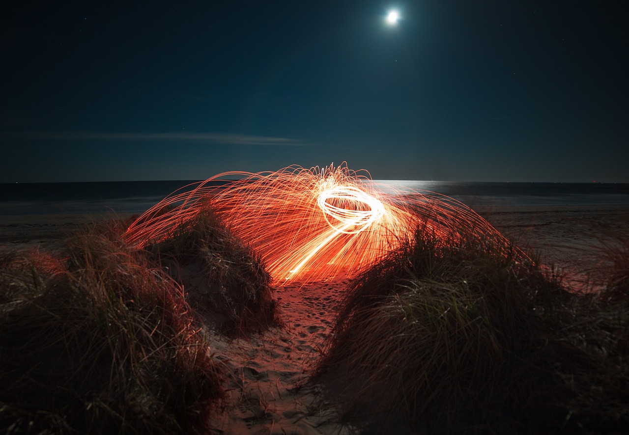 Image - nature beach shore sand grass