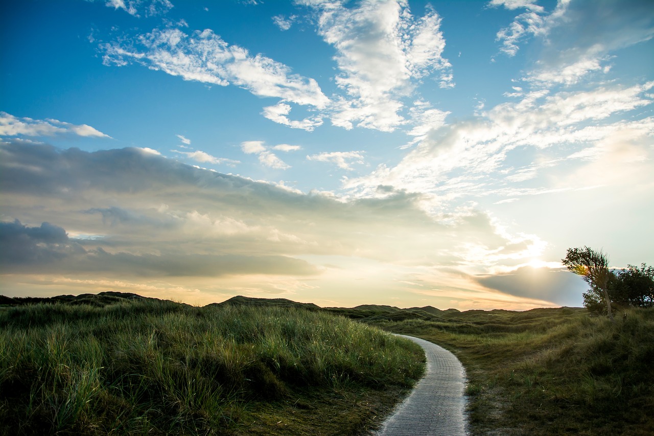 Image - nature landscape paths roads