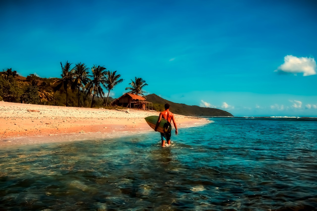 Image - indonesia tropics tropical vacation
