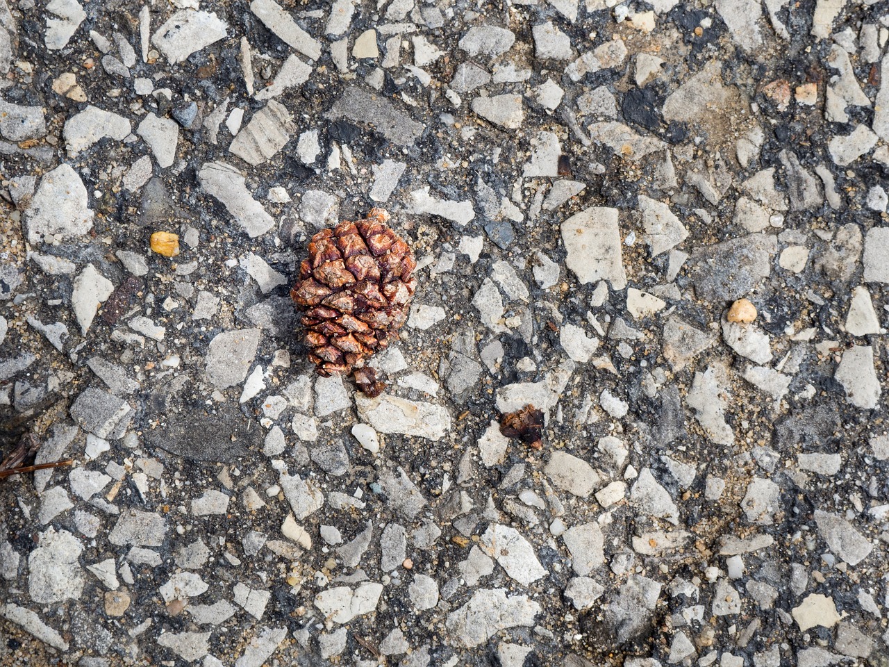 Image - still items things floor gravel