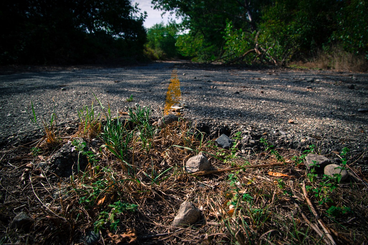 Image - road stop overgrown abandoned